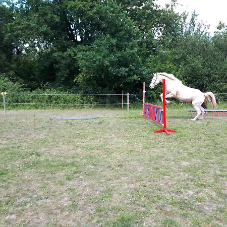 Au Paradis Des Crins Studio Rez De Chaussee Avec Jardin Et Un Autre Studio En Duplex Avec Terrasse *