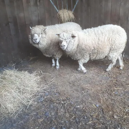 Au Paradis Des Crins Studio Rez De Chaussee Avec Jardin Et Un Autre Studio En Duplex Avec Terrasse 公寓