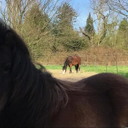 公寓 Au Paradis Des Crins Studio Rez De Chaussee Avec Jardin Et Un Autre Studio En Duplex Avec Terrasse *
