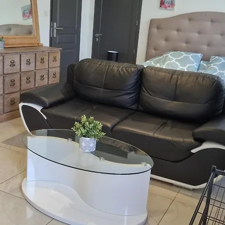 公寓 Au Paradis Des Crins Studio Rez De Chaussee Avec Jardin Et Un Autre Studio En Duplex Avec Terrasse *